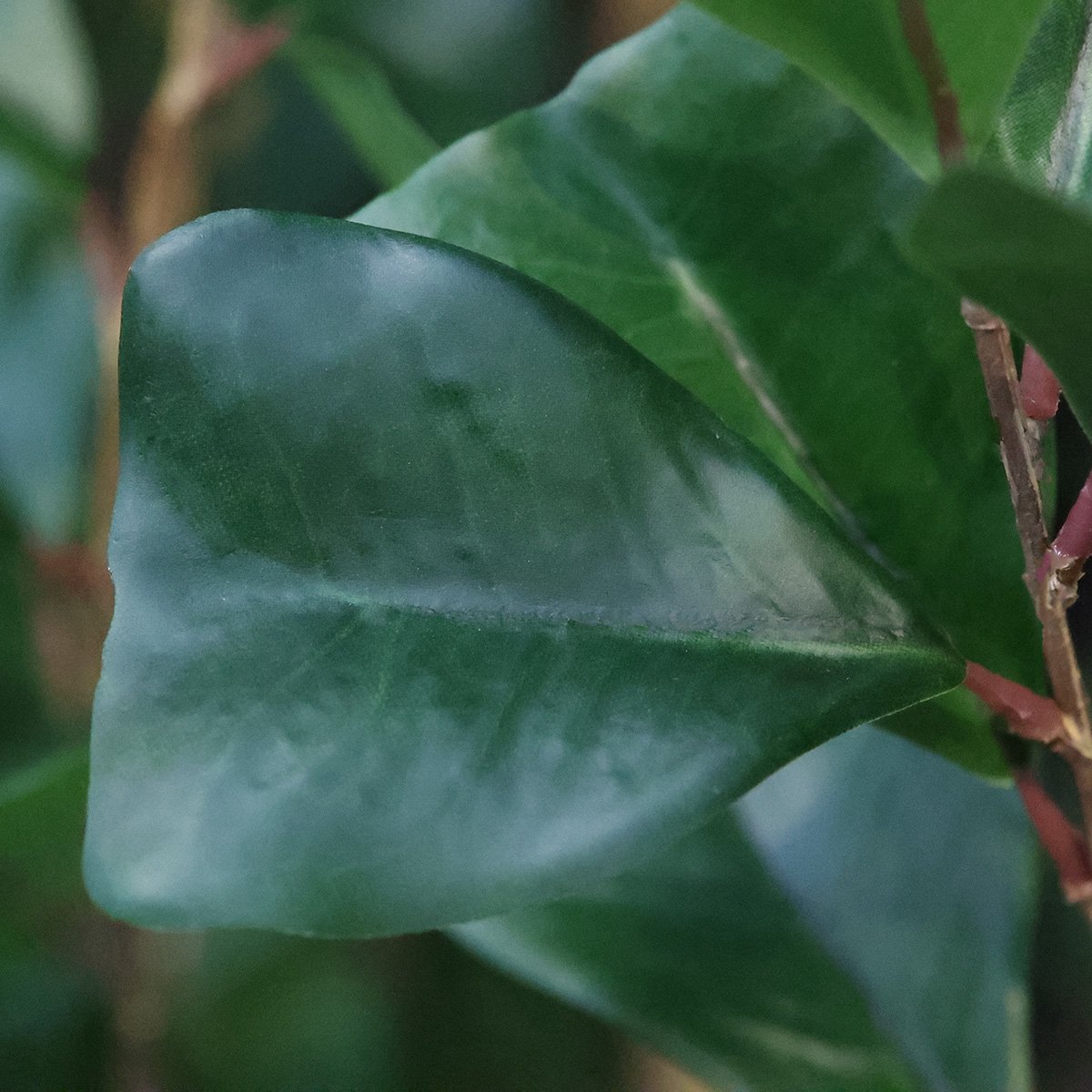 maxifleur Kunstplanten Ficus Triangularis Kunstplant 120cm Groen