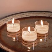 Bol.com Bolsius - True Scents - Geurtheelichten - 18 stuks per verpakking - Clear cup - Oud Wood aanbieding