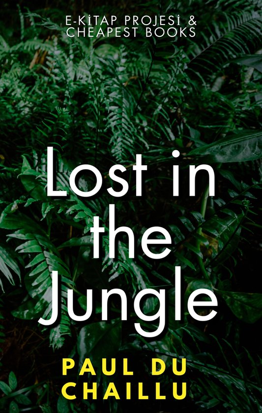 Lost in the Jungle - cover