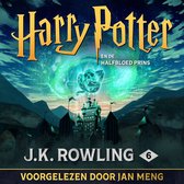Digitaal luisterboek