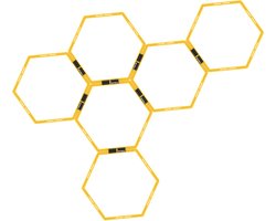 Focus Fitness - Agility Grid - Hexagon Agility Grid - Incl. Opbergtas - Geel