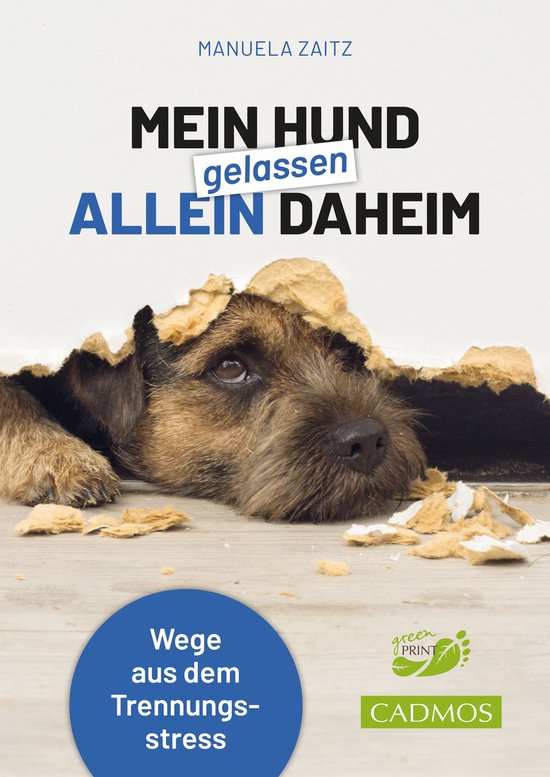 Verhalten - Mein Hund gelassen allein daheim - cover