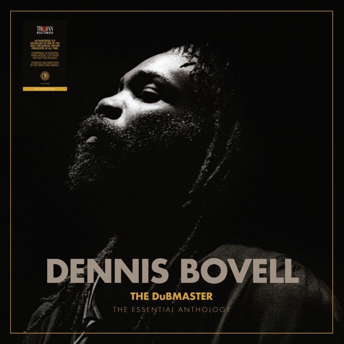 Dennis Bovell - The Dubmaster (The Essential Anthology) (2 LP)