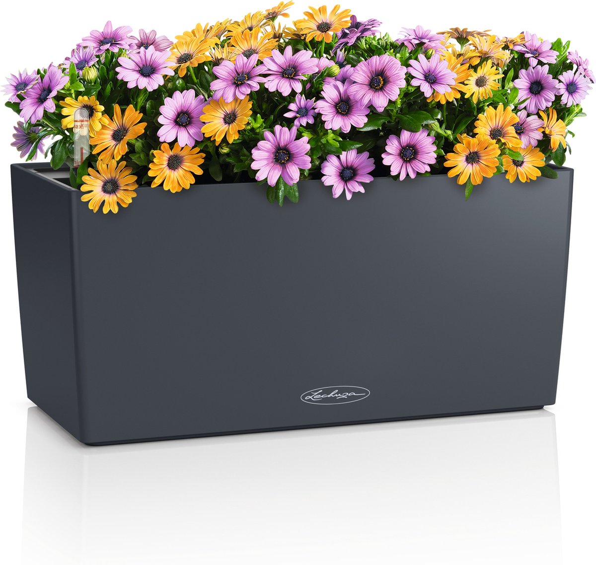 Lechuza Balconera Color 40 - Planter - with removable inner pot