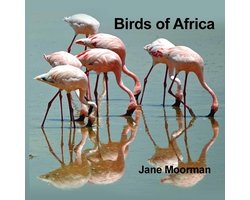 Birds of Africa