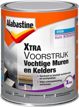 Alabastine Xtra Vochtige Muren en Kelders Voorstrijk - Wit - 1 liter