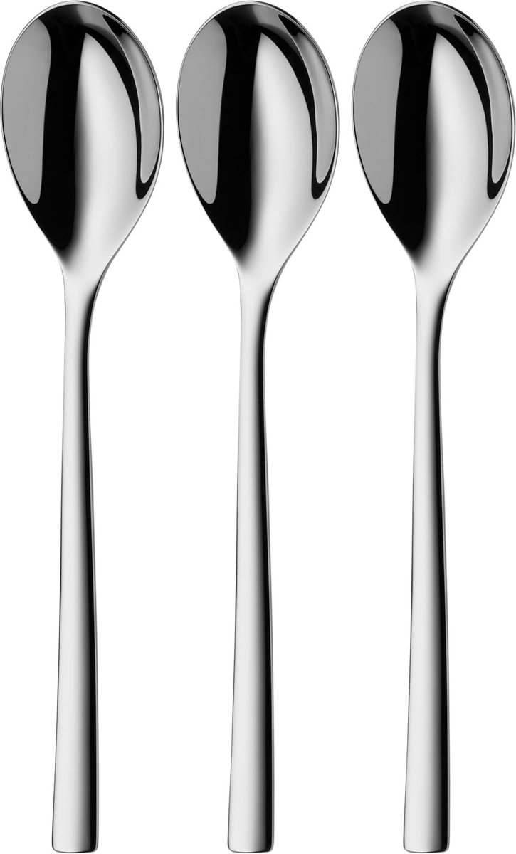 Goedkoopste Goodivery ® Koffielepel Set van Hoogwaardig Roestvrij Staal, 3 Stuks, Krasbestendig en Vaatwasserbestendig