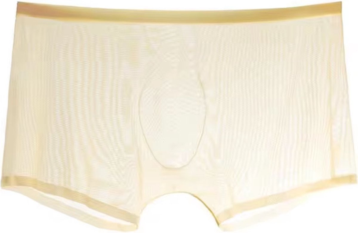 Goedkoopste Transparante Heren Ondergoed Beige - Doorschijnend Boxershort - Mesh Onderbroek - Lingerie