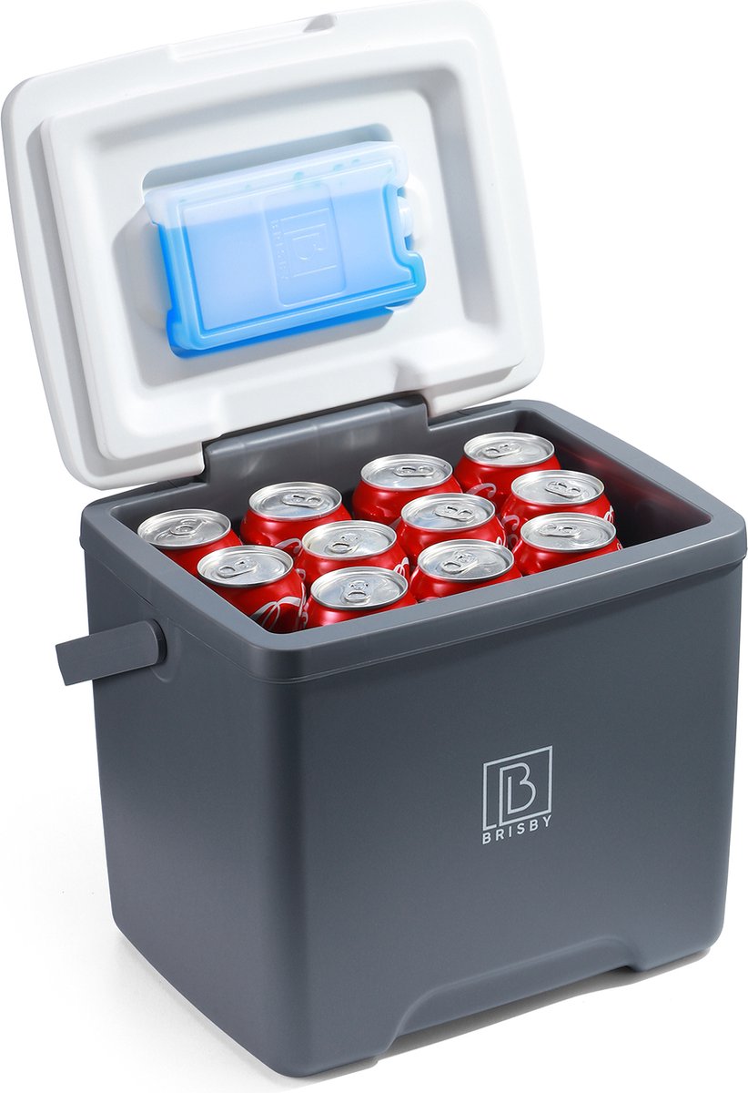 Bol.com Brisby Koelbox 13L – 40 uur isolatie – 2 koelelementen – Dekselintegratie – Grijs aanbieding