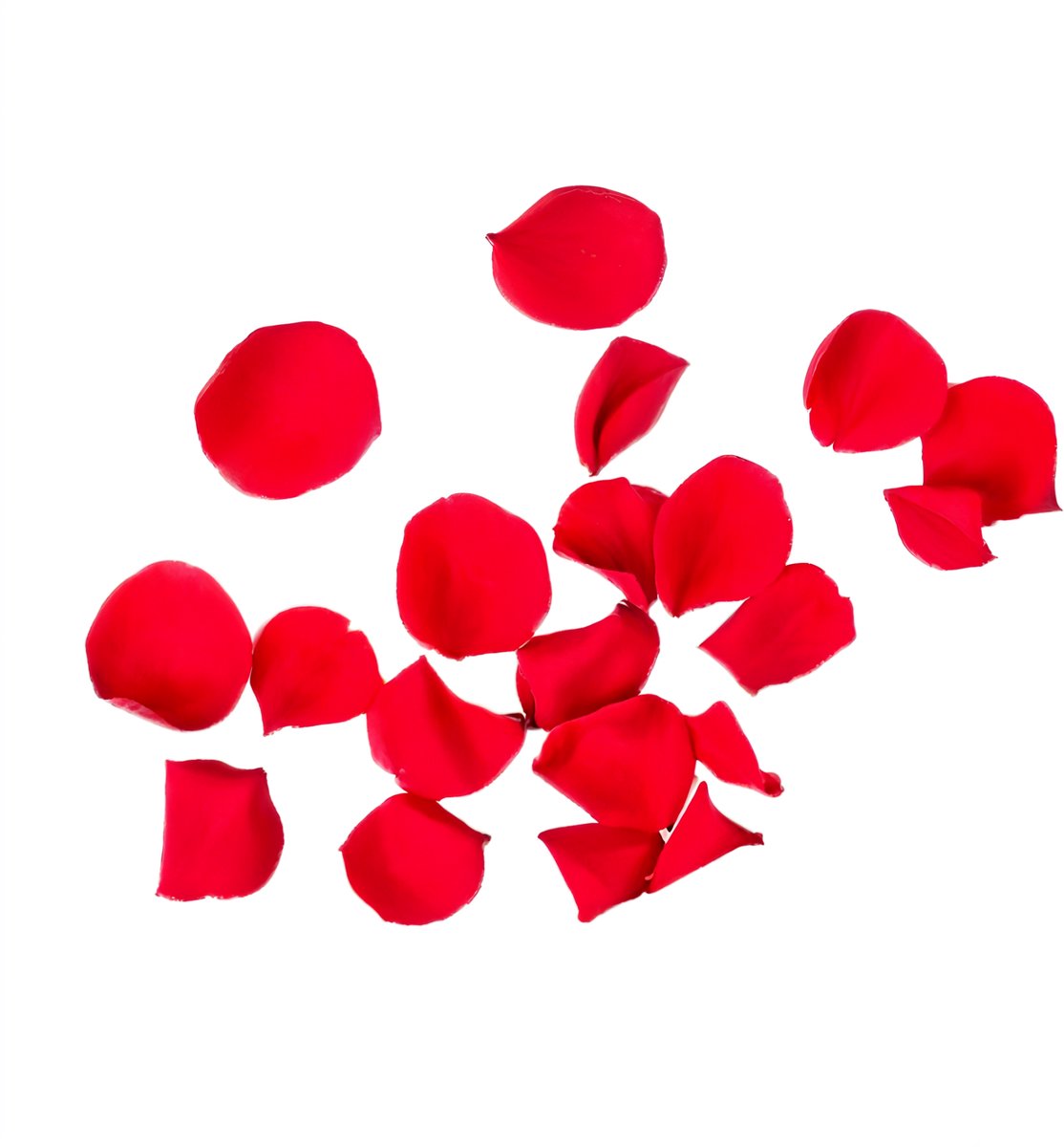 Rozenblaadjes - Rood - 500 stuks