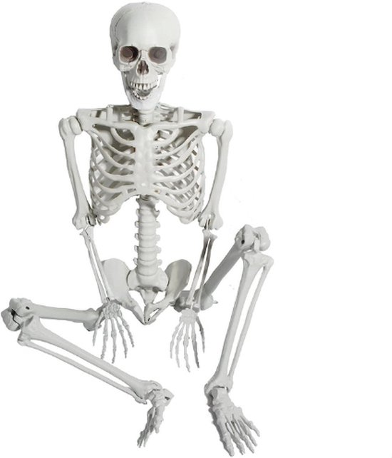 93CM Halloween Levensgroot Skelet - Volledig Lichaam Menselijke Botten Met Beweegbare Gewrichten - Perfect Voor Binnentuin - Patio - Spookhuis En Eng Begraafplaats Decoratie