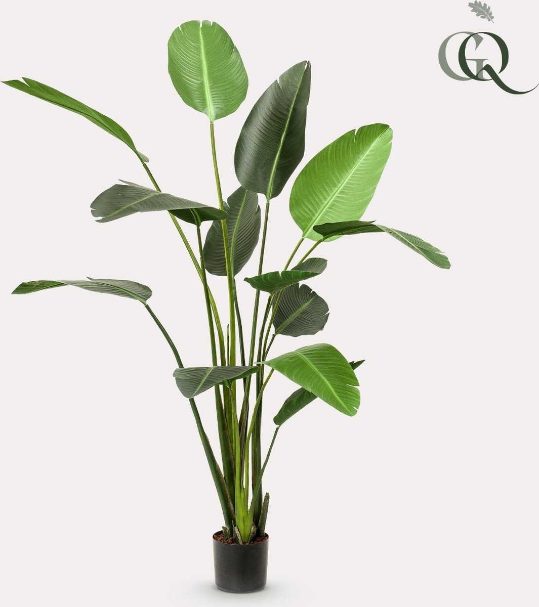 Kunstplant - Strelitzia Nicolai - Paradijsvogelbloem - 230cm