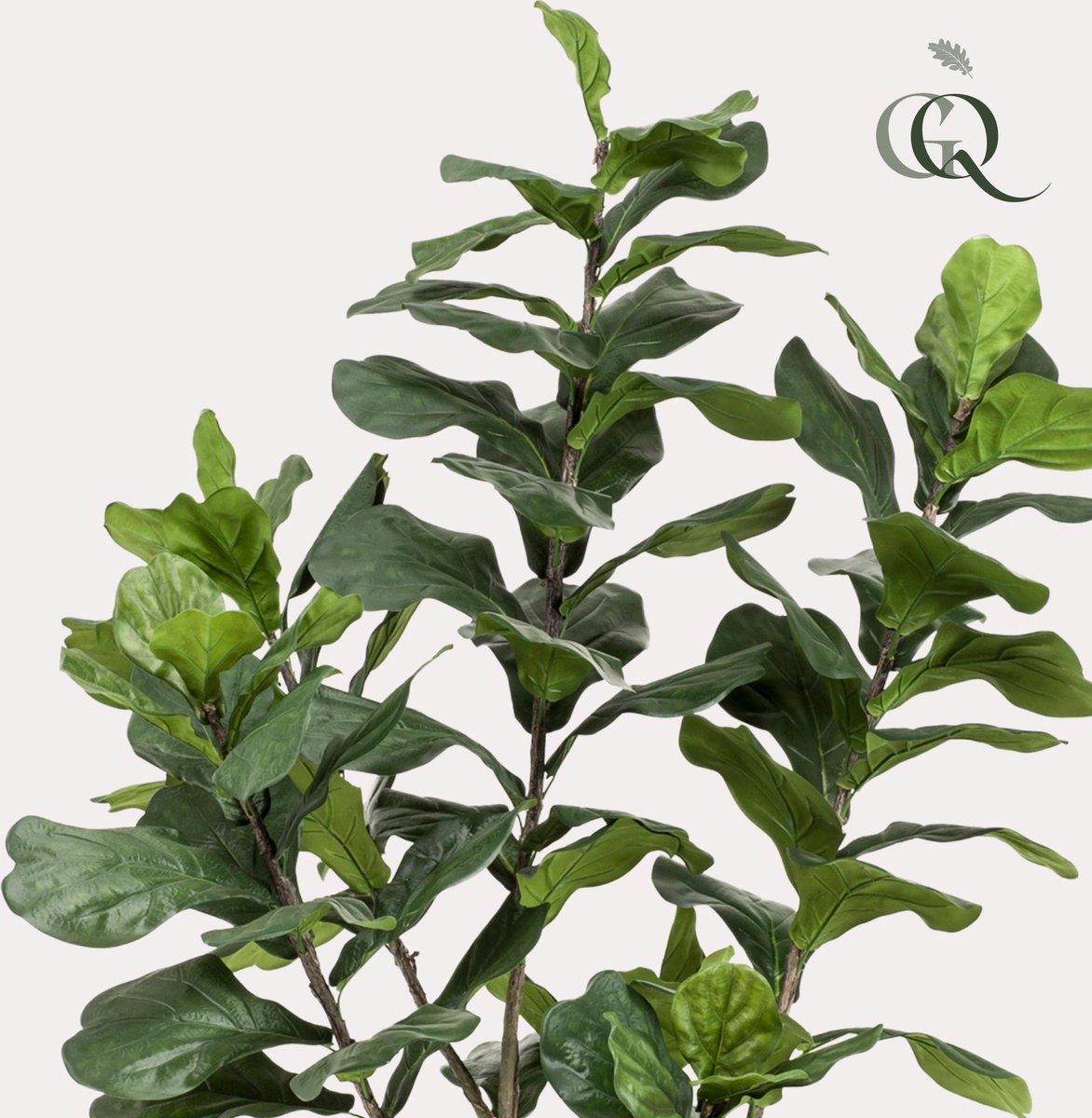 Kunstplant - Ficus Lyrara - Tabaksplant - 210cm