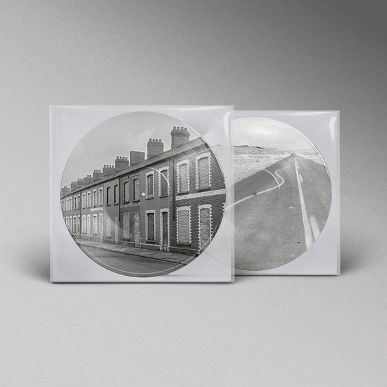 Manic Street Preachers - Critical Thinking (Picture Disc LP)