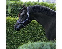 Epplejeck Halster Epplejeck Reflective Donkerblauw | Maat: Paard