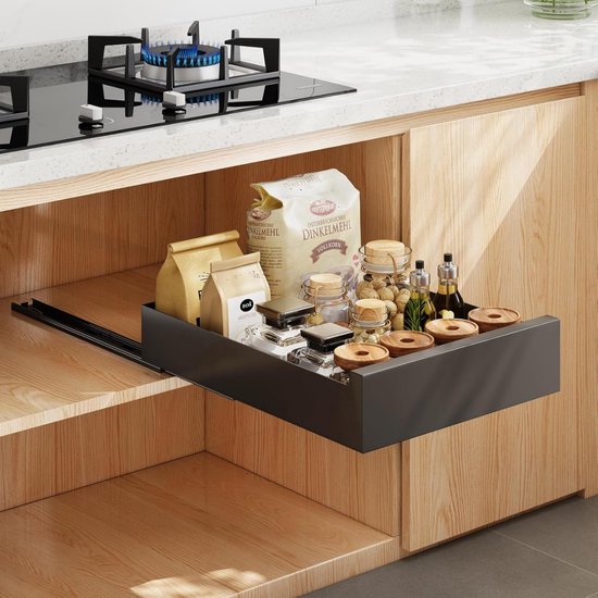 HOARLICN Uittrekbare kastorganizer, telescopische lade, 2 stuks, uittrekbare laden, keukenorganizer, kast voor kasten, voor huishoudens, cafetaria's, keukens, zwart