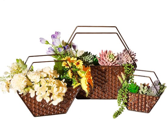 Hangplantenhaken Set Van 2 - Houten Wandplantenbakken Voor Een Groene Uitstraling In Huis