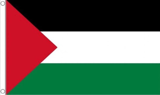 De Palestijnse vlag met zwarte, witte en groene horizontale banen en een rode driehoek aan de hijszijde.