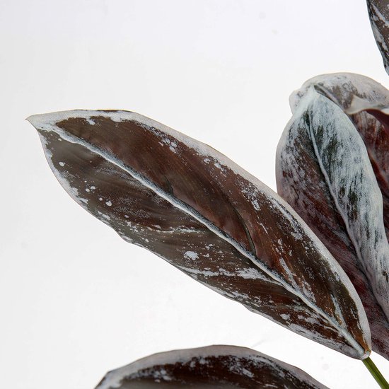 Onderhoudsvrije Plant Set Van 2 Kunstplanten - Grote Drakenboom In Pot Voor Binnen & Buiten | Moderne Decoratie Voor Woonkamer, Slaapkamer Of Balkon Kunstplanten De Boet