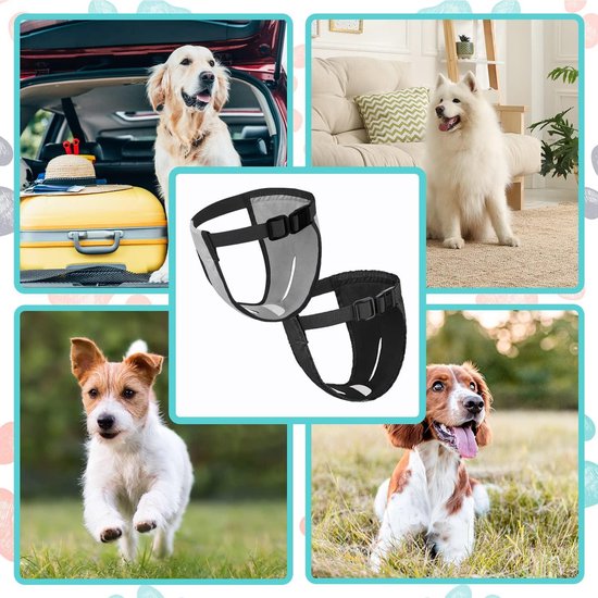 Honden loopsheidbroekje XL - Smart for Pets