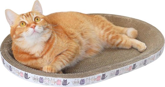 Het gebit van je kat verzorgen: tandenpoetsen & meer