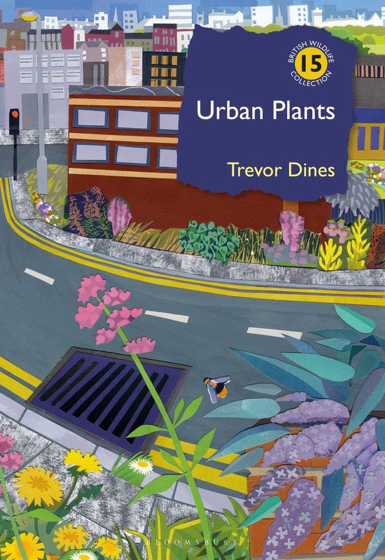 British Wildlife Collection- Urban Plants