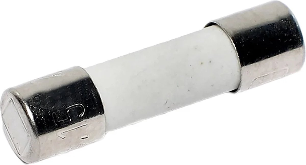 HabiStat Super snelle thermostaatzekeringen 3,15A 10-pack voor terrariumverwarming