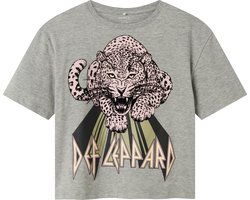 NAME IT - NKFJIKKI DEFLEPPARD SS RLX TOP BOX UNV - Meisjes - T-shirts
