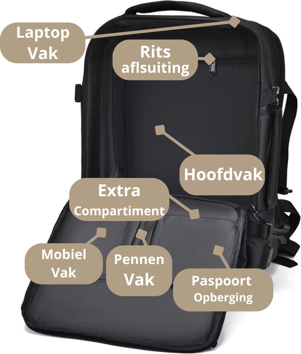 Caimco Nexus Rugzak met USB Oplaadpoort & Laptopvak – Uitbreidbare Waterafstotende Backpack – 15.6 inch Laptop Rugtas voor School, Werk & Reizen – Roze – foto 2