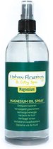 Pure Magnesiumolie Spray 500 ml - 31% Magnesiumchloride - Uitwendig Gebruik - Sprayflacon