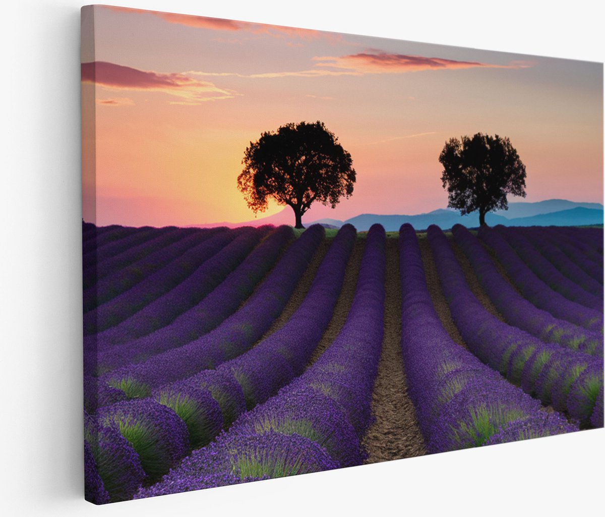 Saammp Muurcirkel Hout - Abstract - Bloemen - Natuur - Modern - Ø 90 - Wandcirkel - Wanddecoratie Cirkel - Muurdecoratie Woonkamer - Slaapkamer Decoratie