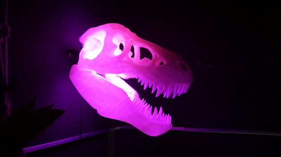 Trex Schedel RGB Lamp - Tyrannosaurus Dinosaurus Wandkunst - Unieke Woondecoratie, Gamingkamer, Kinder Nachtlampje, Bureau Decoratie van Merkloos — afbeelding 4
