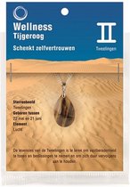 Ruben Robijn Sterrenbeeld hanger Tweelingen (Tijgeroog)