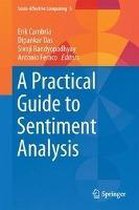 A Practical Guide to Sentiment Analysis