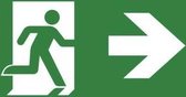 Van Lien pictogram noodverlichting 12272552