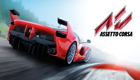  Assetto Corsa - PlayStation 4 Standard Edition : 505