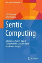 Sentic Computing