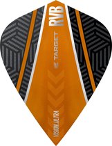 Target Vision Ultra Raymond van Barneveld Curve Kite - Dart Flights