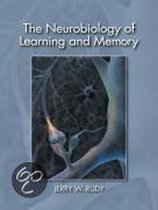 The Neurobiology Of Learning And Memory