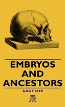 Embryos And Ancestors