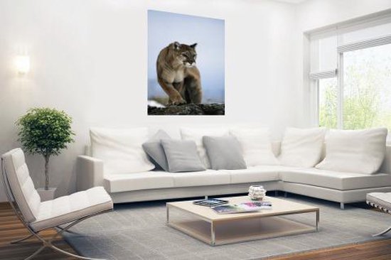 Poster Puma on rock 120x180 cm - Tirage photo sur Poster (décoration murale salon / chambre) / Poster Animaux XXL / Groot format!