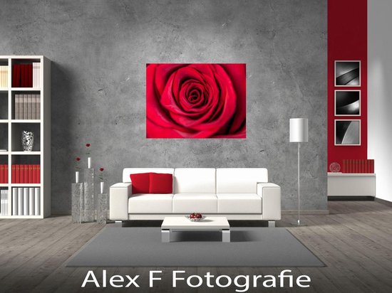 Foto op Canvas, Roses are red (60x40cm)