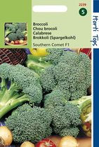 Hortitops Zaden - Broccoli Premium Crop (V/H Southern Comet) F2