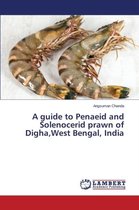 A guide to Penaeid and Solenocerid prawn of Digha, West Bengal, India