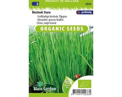 Sluis Garden - Bieslook Staro Biologisch (Allium schoenoprasum)