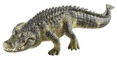 schleich WILD LIFE - Alligator - Speelfiguur - Kinderspeelgoed voor Jongens en Meisjes - 3 tot 8 jaar - 14727