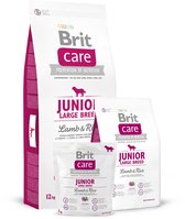 Brit Care - Hondenvoer - Junior - Grote Rassen vanaf 3 maanden - Lam - Rijst - Hypoallergeen - 3KG - 1ST