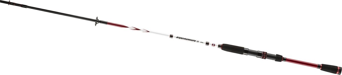 Penn Squadron II Labrax 702 | 10-30g