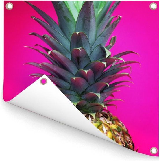 Gros plan d'un poster de jardin ananas coloré 100x100 cm - Toile de jardin / Toile d'extérieur / Peintures pour l'extérieur (décoration de jardin)