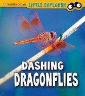 Insect Explorer Dashing Dragonflies